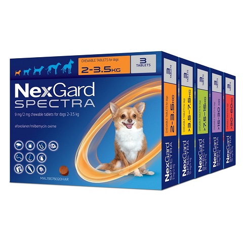 Nexgard spectra chewable 2024 tablets for dogs